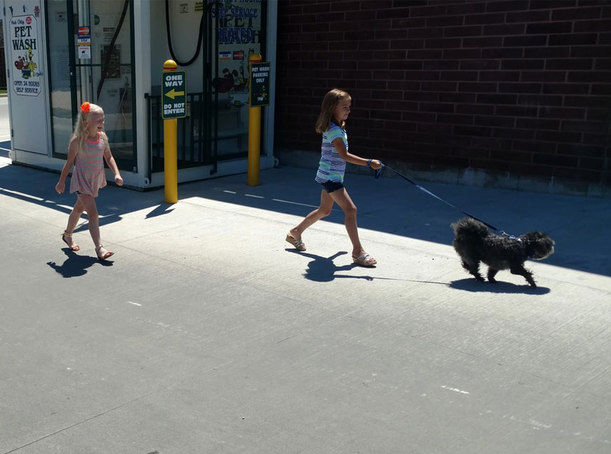 Our Pet Wash in Rochelle Illinois