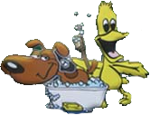 Hub City knows a clean pet is a happy pet